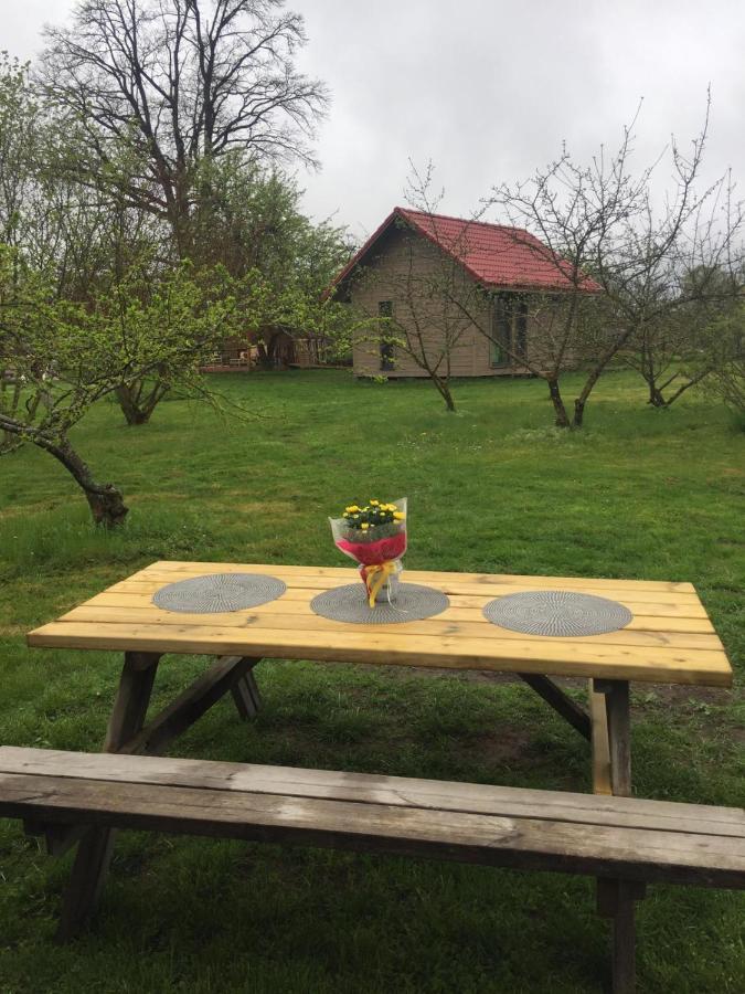Holiday House Ausekla Namins Цесис Экстерьер фото