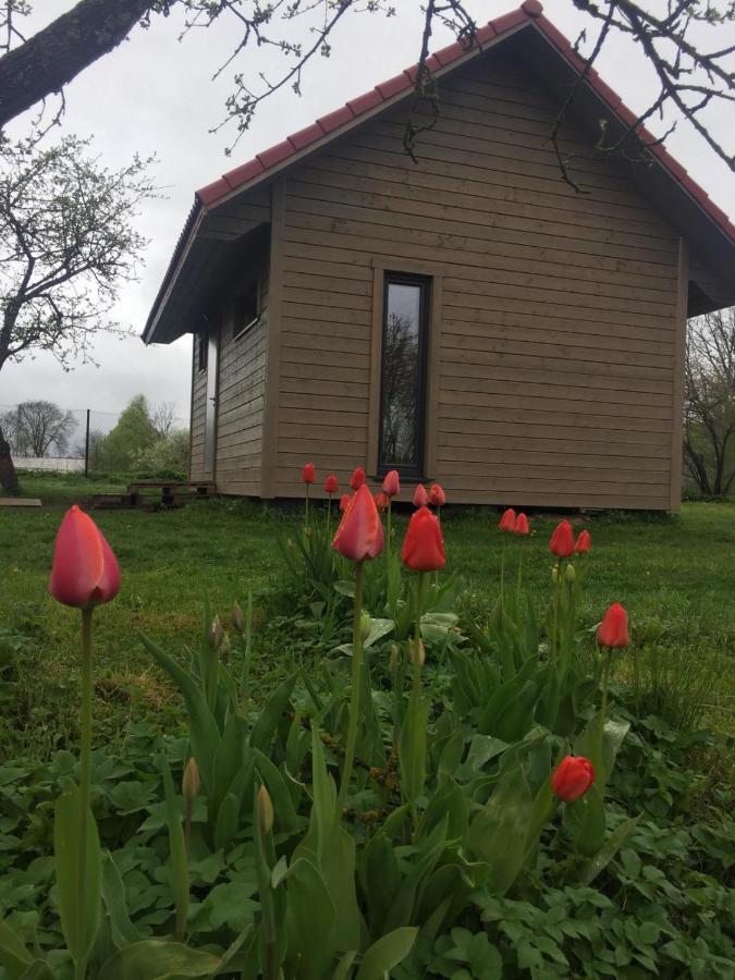 Holiday House Ausekla Namins Цесис Экстерьер фото