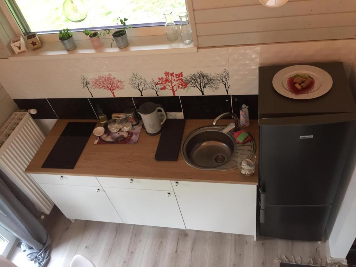 Holiday House Ausekla Namins Цесис Экстерьер фото