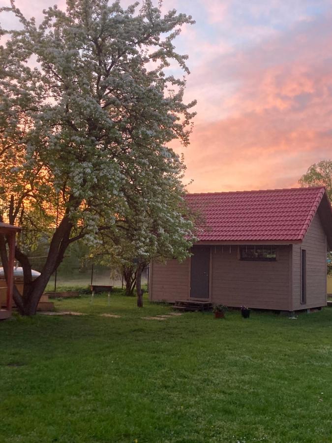 Holiday House Ausekla Namins Цесис Экстерьер фото